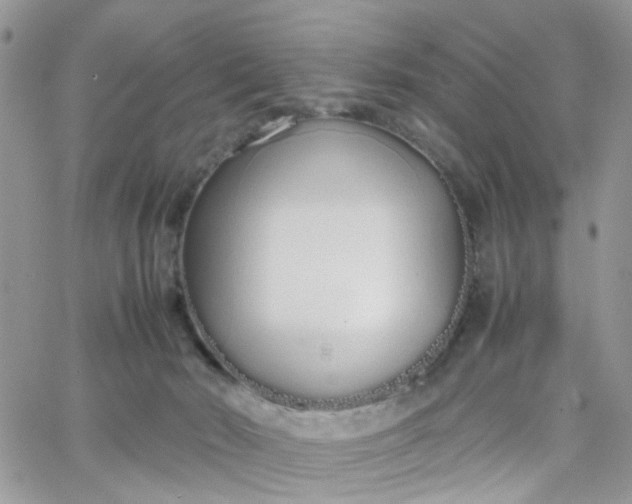 X0000066080030200603241443