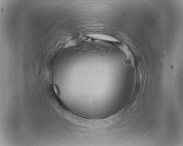 X0000066080031200603241443