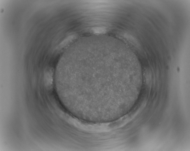 X0000066080032200603241443