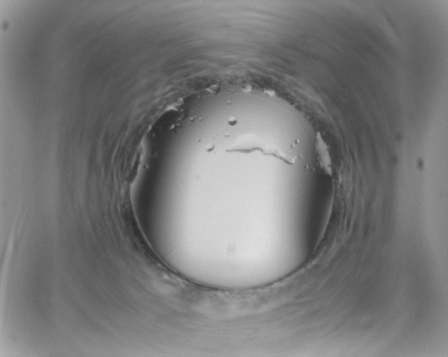 X0000066080033200603241443