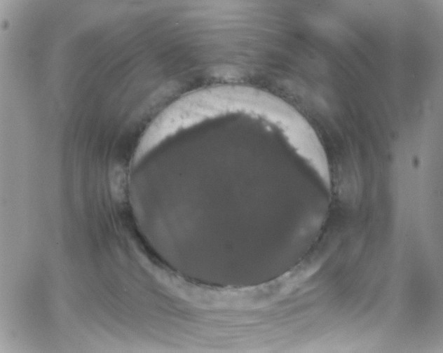 X0000066080036200603241443