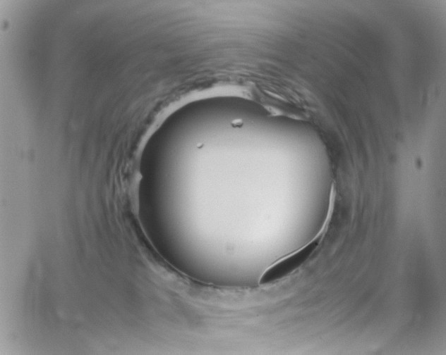 X0000066080037200603241443