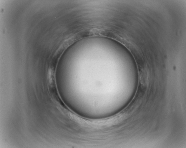 X0000066080038200603241443