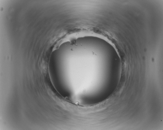 X0000066080039200603241443