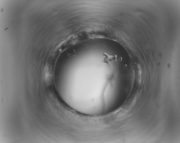 X0000066080040200603241443