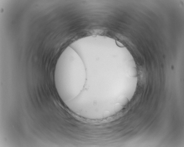 X0000066080042200603241443