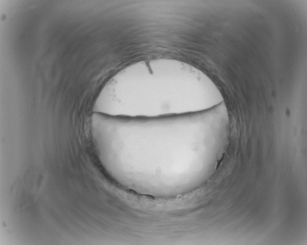 X0000066080043200603241443