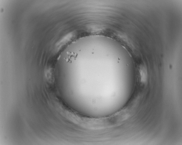 X0000066080044200603241443