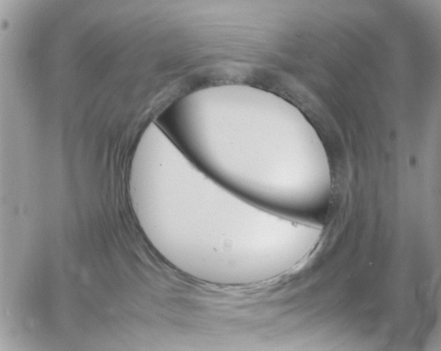 X0000066080045200603241443