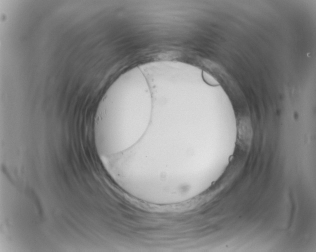 X0000066080046200603241443