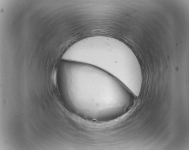 X0000066080047200603241443