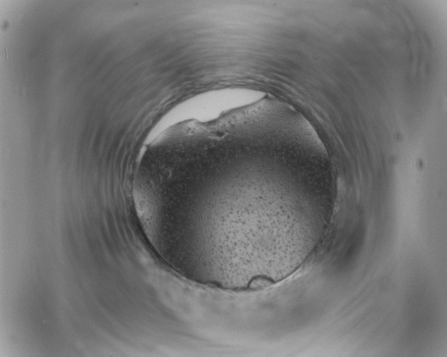 X0000066080048200603241443