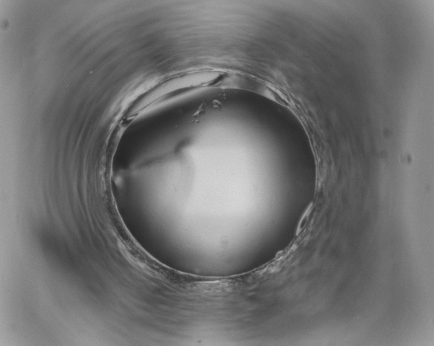 X0000066080050200603241442