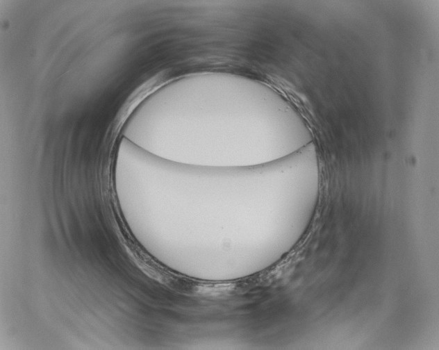 X0000066080051200603241442