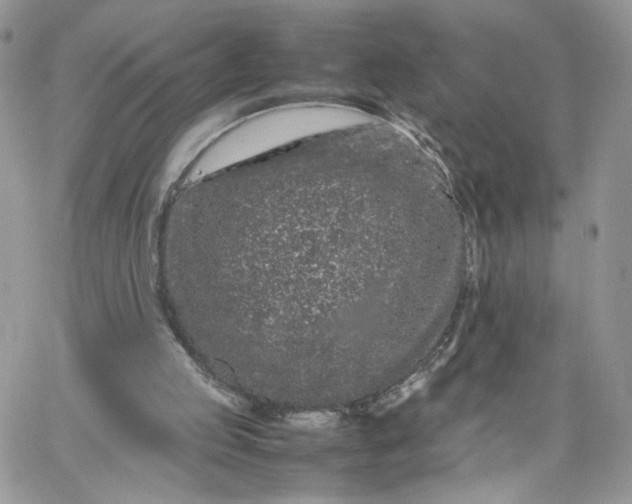 X0000066080053200603241442