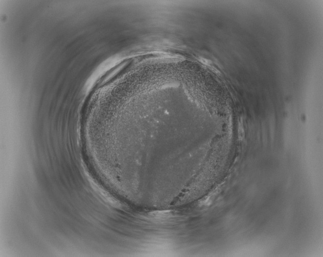 X0000066080054200603241442