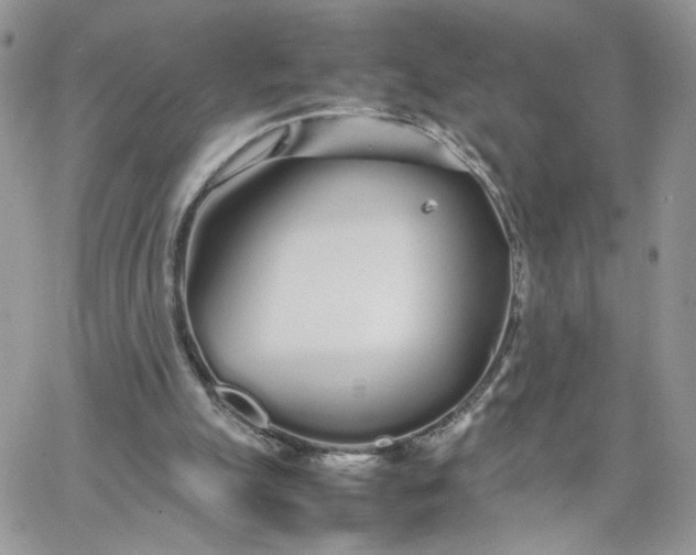 X0000066080055200603241442