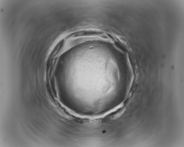 X0000066080056200603241442