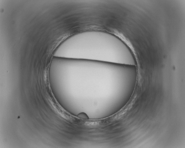 X0000066080057200603241442