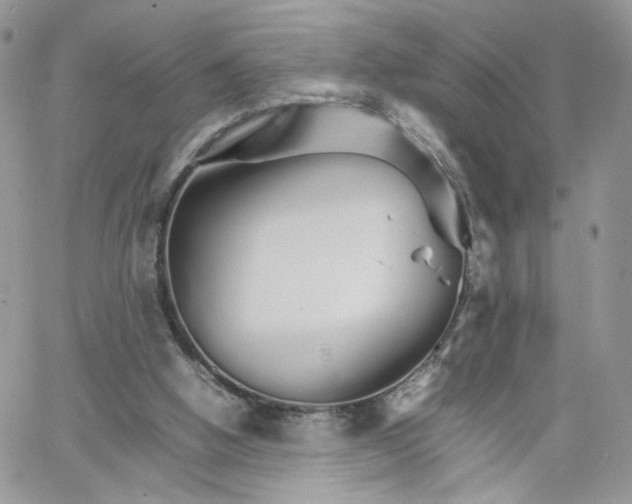 X0000066080058200603241442