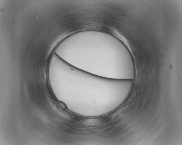 X0000066080059200603241442