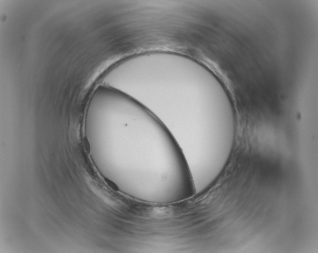 X0000066080060200603241442