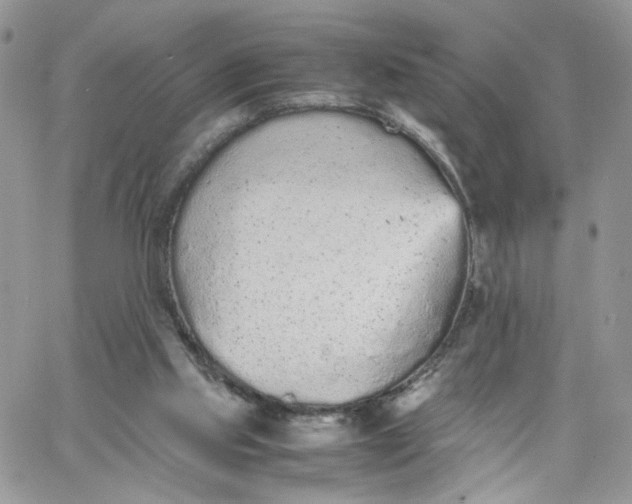 X0000066080061200603241442