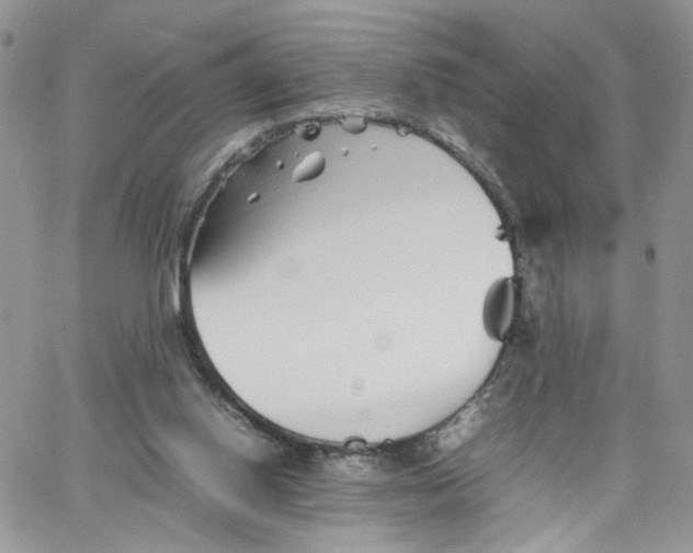 X0000066080062200603241442