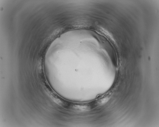 X0000066080065200603241442