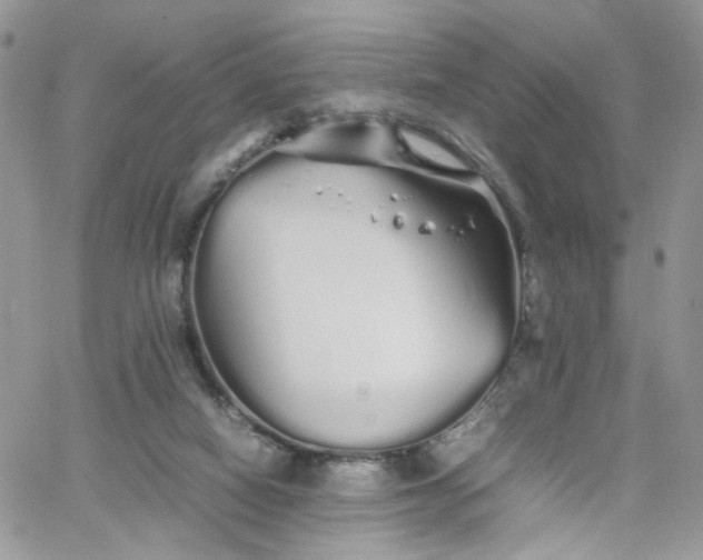 X0000066080066200603241442