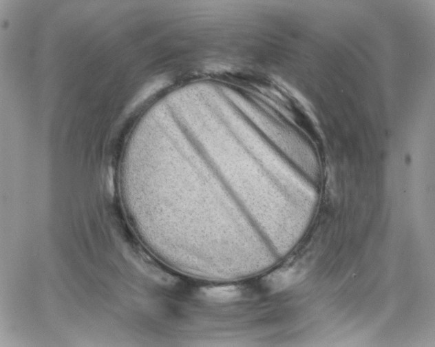 X0000066080067200603241442