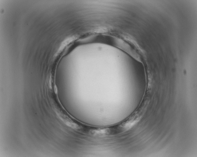 X0000066080068200603241442