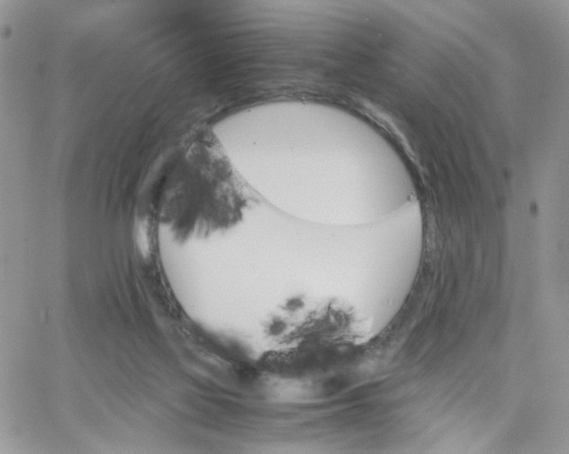 X0000066080069200603241442