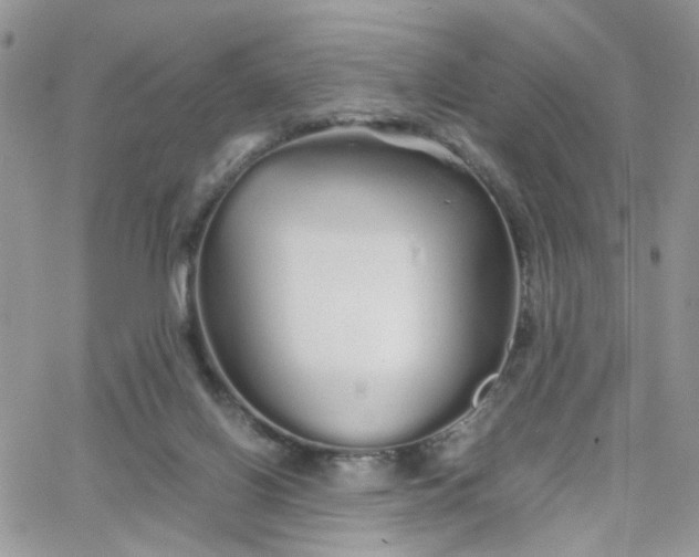 X0000066080070200603241442