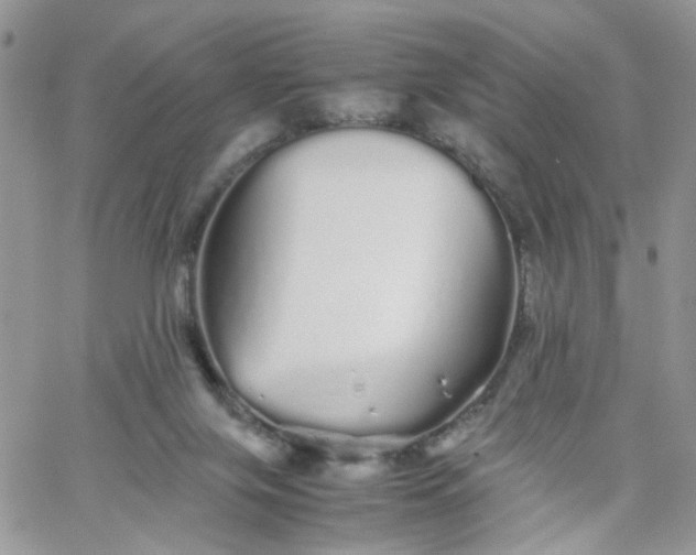 X0000066080071200603241442