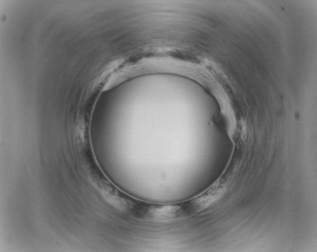 X0000066080072200603241442