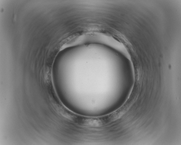 X0000066080073200603241442