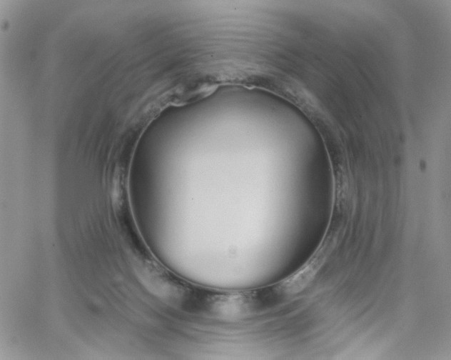 X0000066080074200603241442