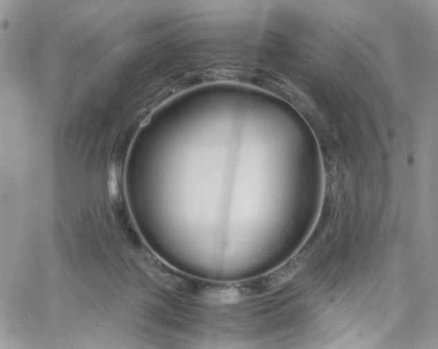 X0000066080075200603241442