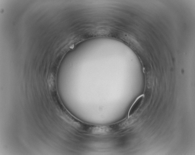 X0000066080077200603241442