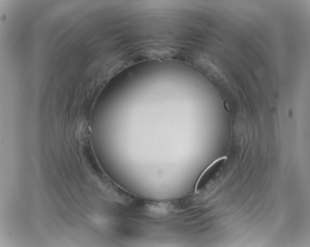 X0000066080079200603241442