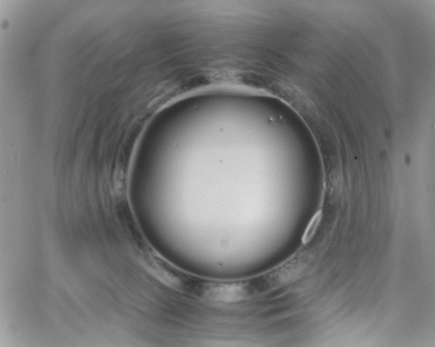 X0000066080081200603241442