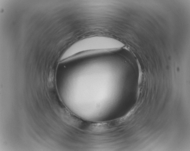 X0000066080082200603241442