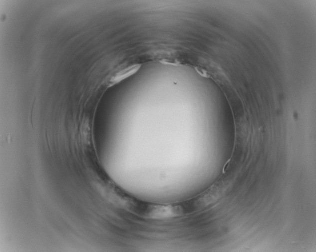 X0000066080083200603241442