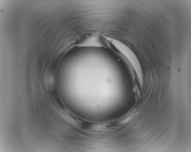 X0000066080084200603241442