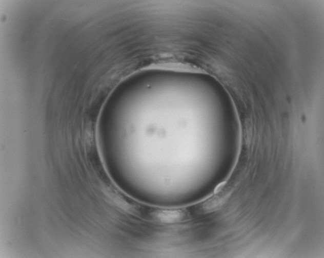 X0000066080085200603241442