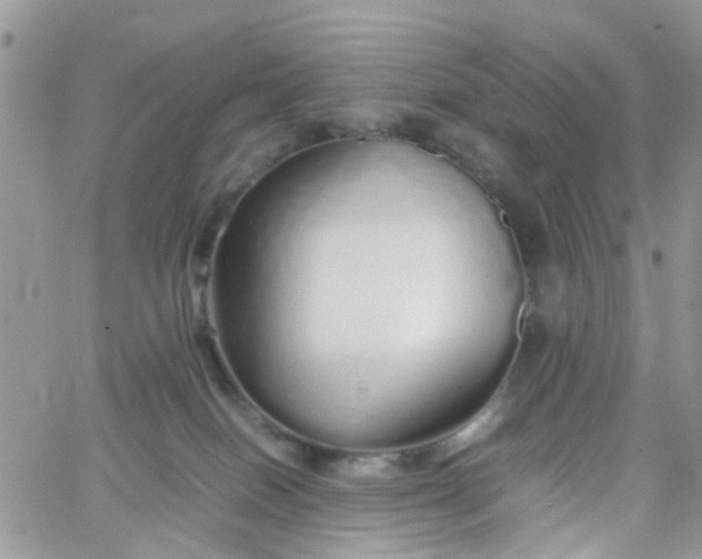 X0000066080086200603241442