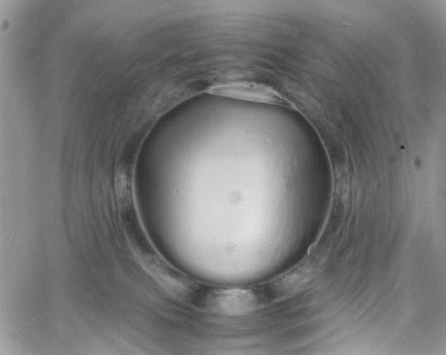 X0000066080087200603241442