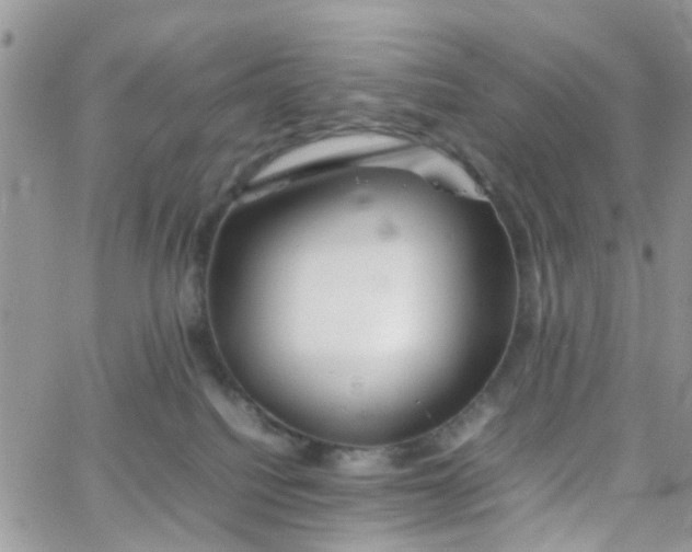 X0000066080088200603241442