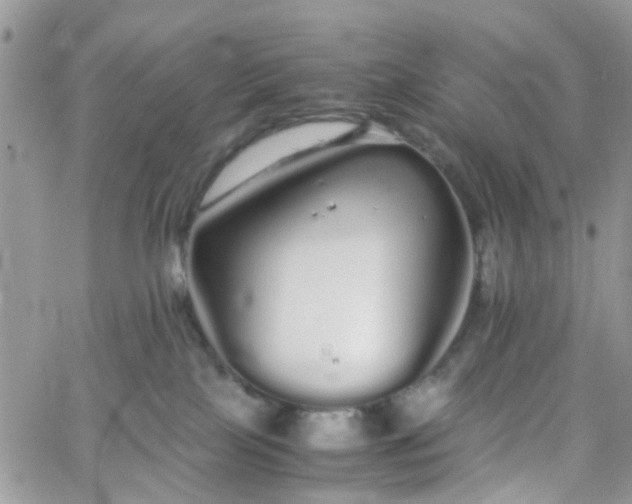 X0000066080089200603241442